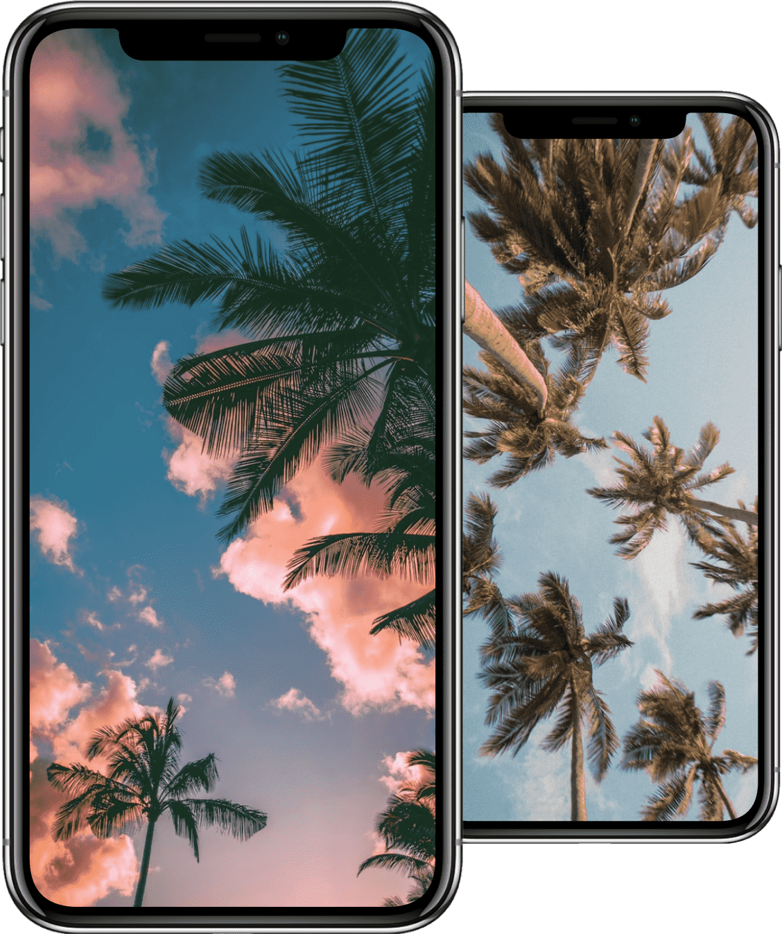 iPhones Thumbnail